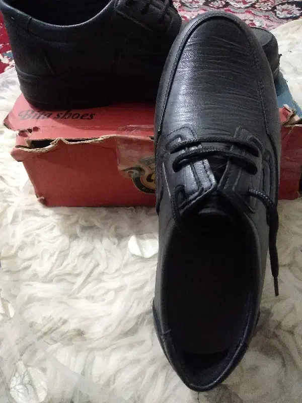 کفش مردانه|کیف، کفش، کمربند|ایذه, |دیوار