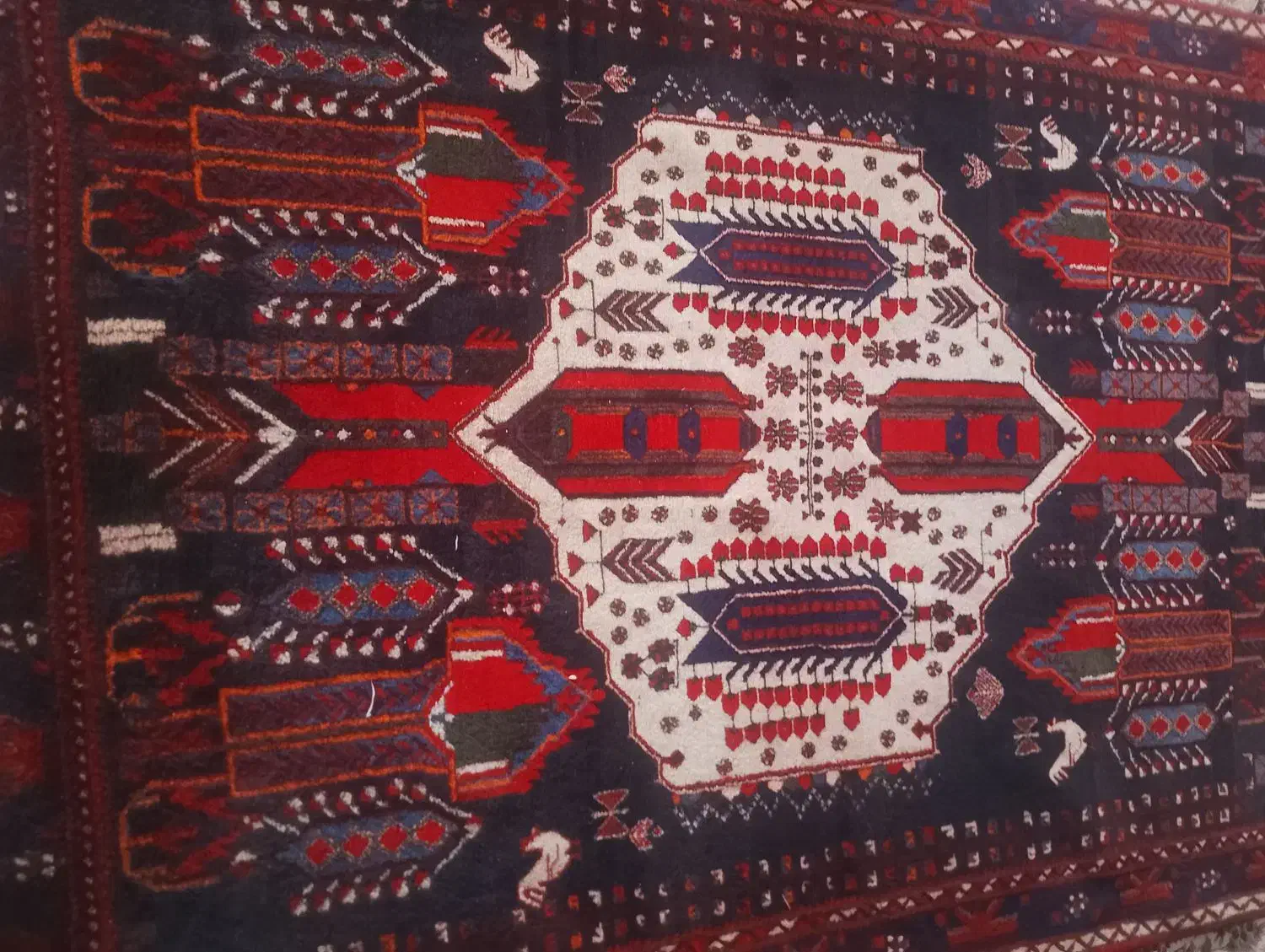 قالی محلی|فرش|سیرجان, |دیوار