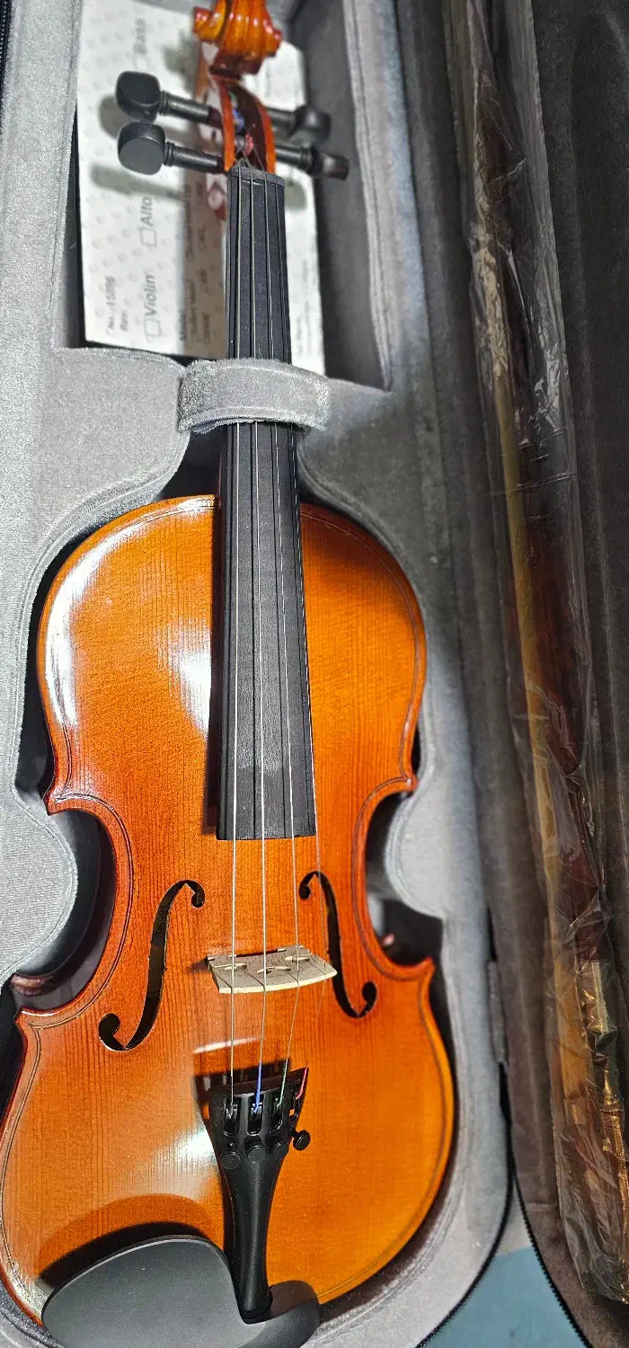 ویلون کودک tf|ویولن|کرمان, |دیوار