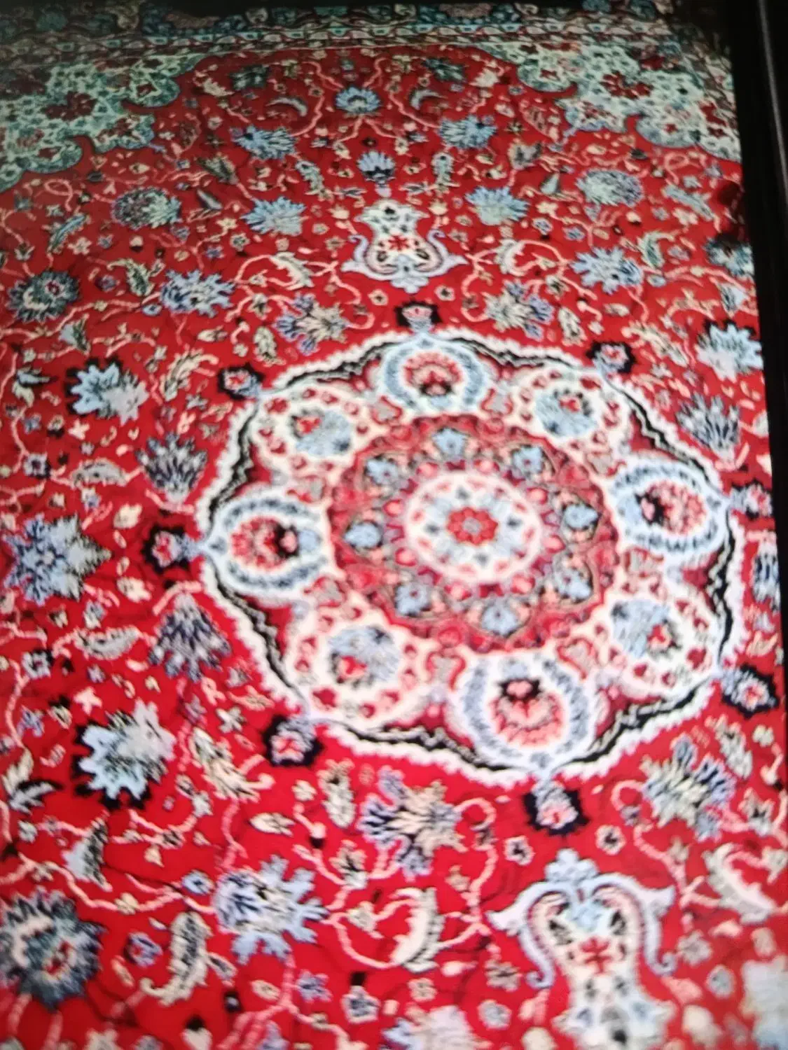 فرش شش متری لاکی|فرش|قزوین, |دیوار