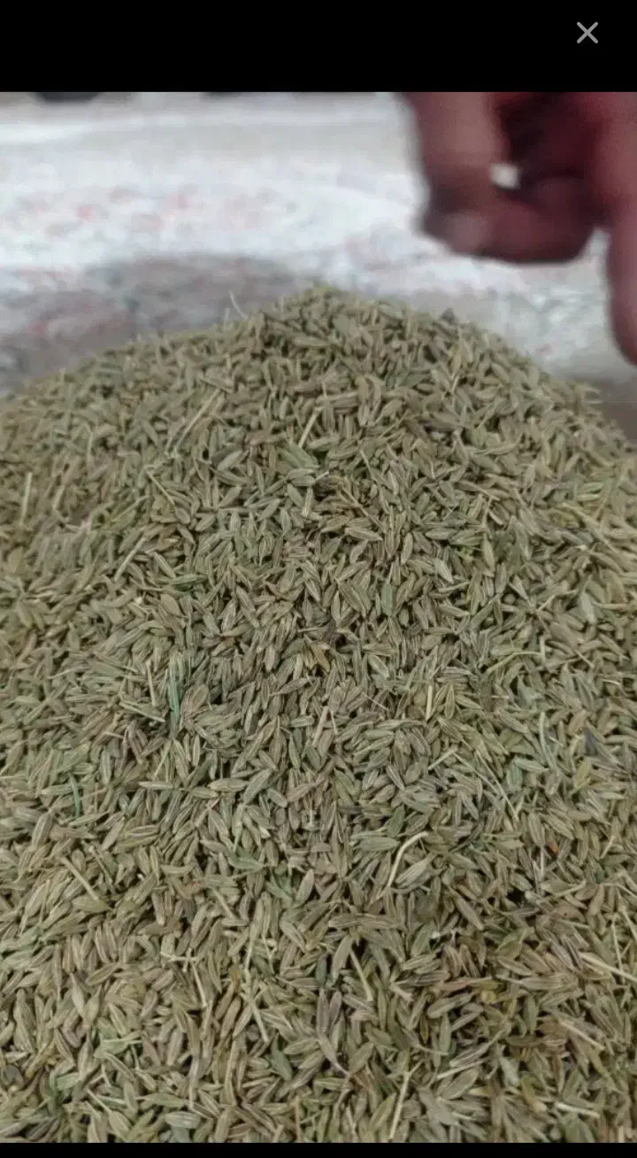 زیره‌سبز‌|خوردنی و آشامیدنی|گرمخان, |دیوار