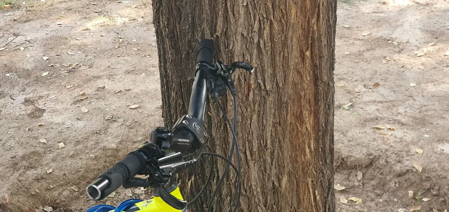 دوچرخه المپیاد سایز ۲۶|دوچرخه، اسکیت، اسکوتر|شاهین‌شهر, پاسداران|دیوار