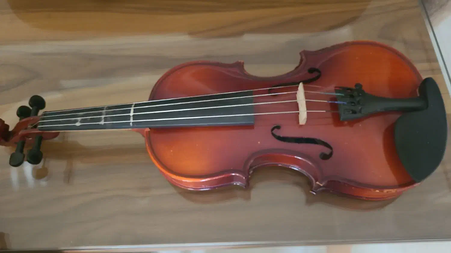 ویولن ۱/۴|ویولن|فردیس, نسترن غربی|دیوار