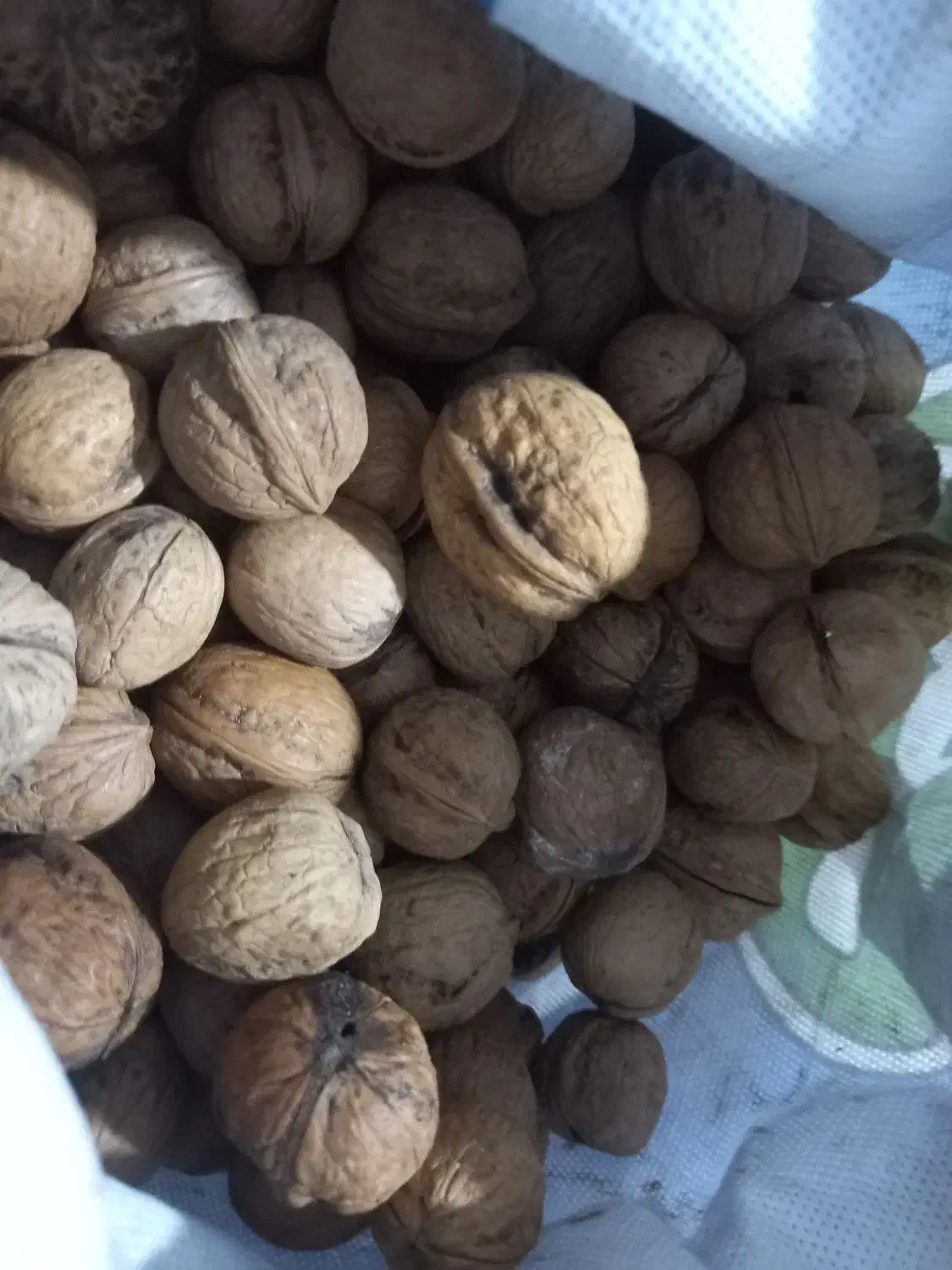 گردو|خوردنی و آشامیدنی|جوانرود, |دیوار