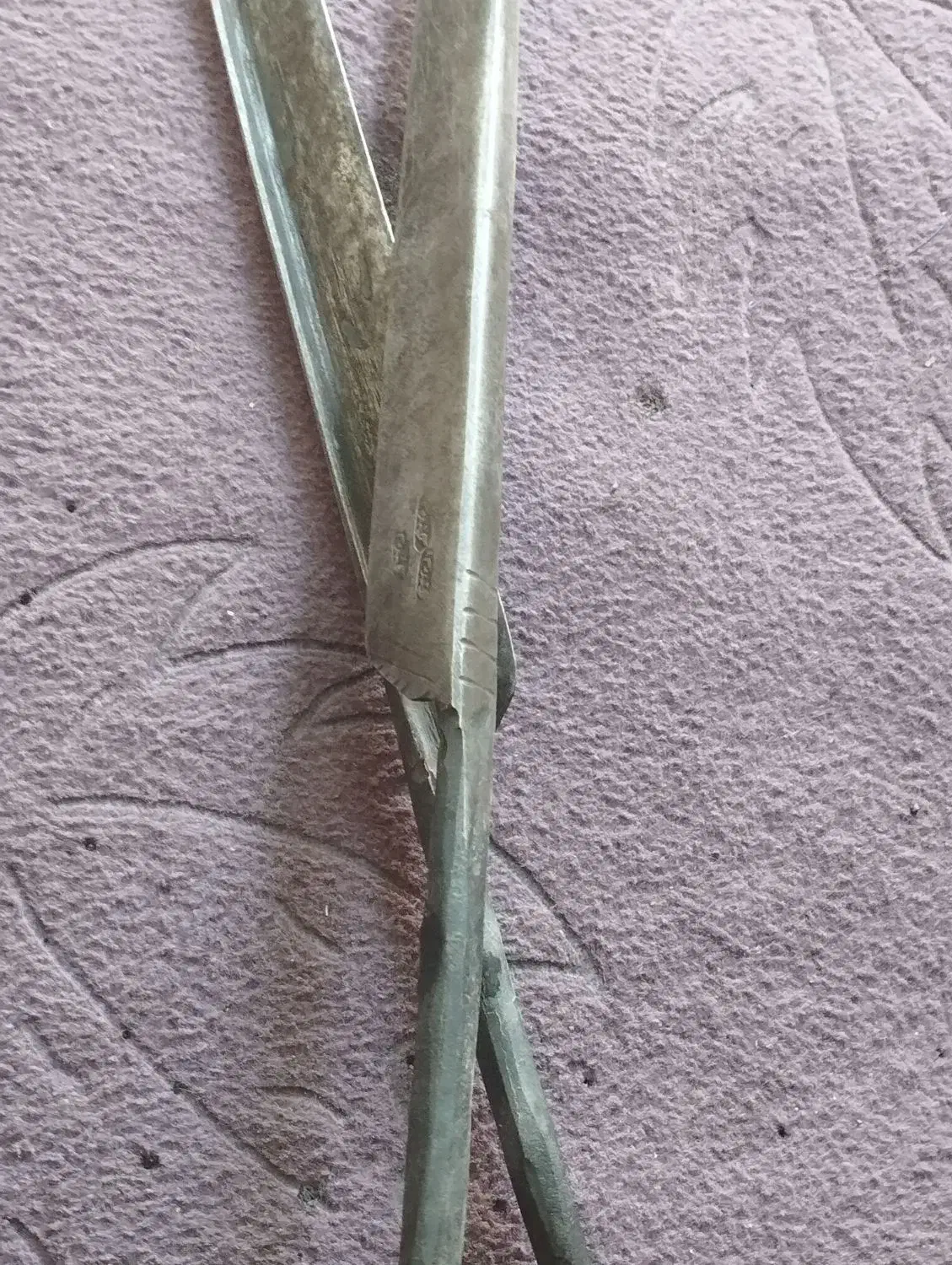 قیچی پشم چینی گوسفند قدیمی|کلکسیون اشیاء عتیقه|جهرم, |دیوار