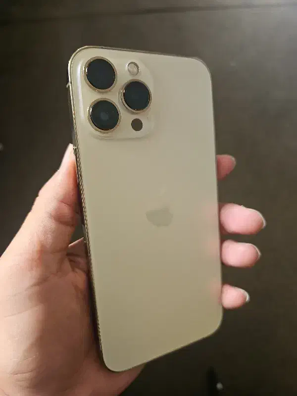 بدون پول پیش صاحب 13 Pro Max شو - فوری و محدود|موبایل|قم, صفائیه|دیوار