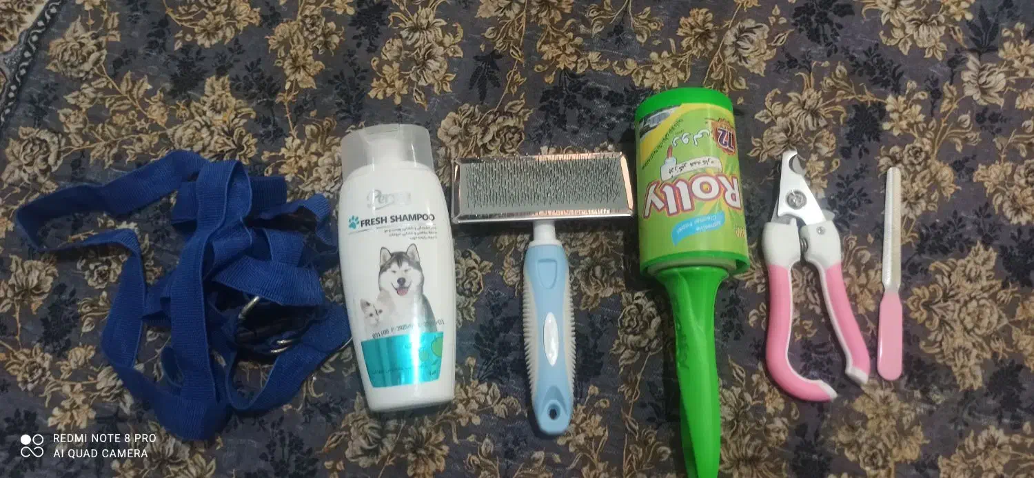 وسایل پت|لوازم جانبی حیوانات|شیراز, محراب|دیوار