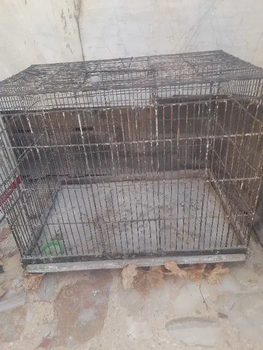 دوتا قفس بزرگ برای پرنده و مرغ سگ گربه|لوازم جانبی حیوانات|شیراز, وزیرآباد|دیوار