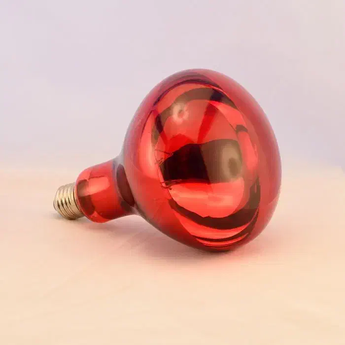 لامپ مادون قرمز 250|لامپ و چراغ|شاهین‌شهر, دکتر حسابی|دیوار