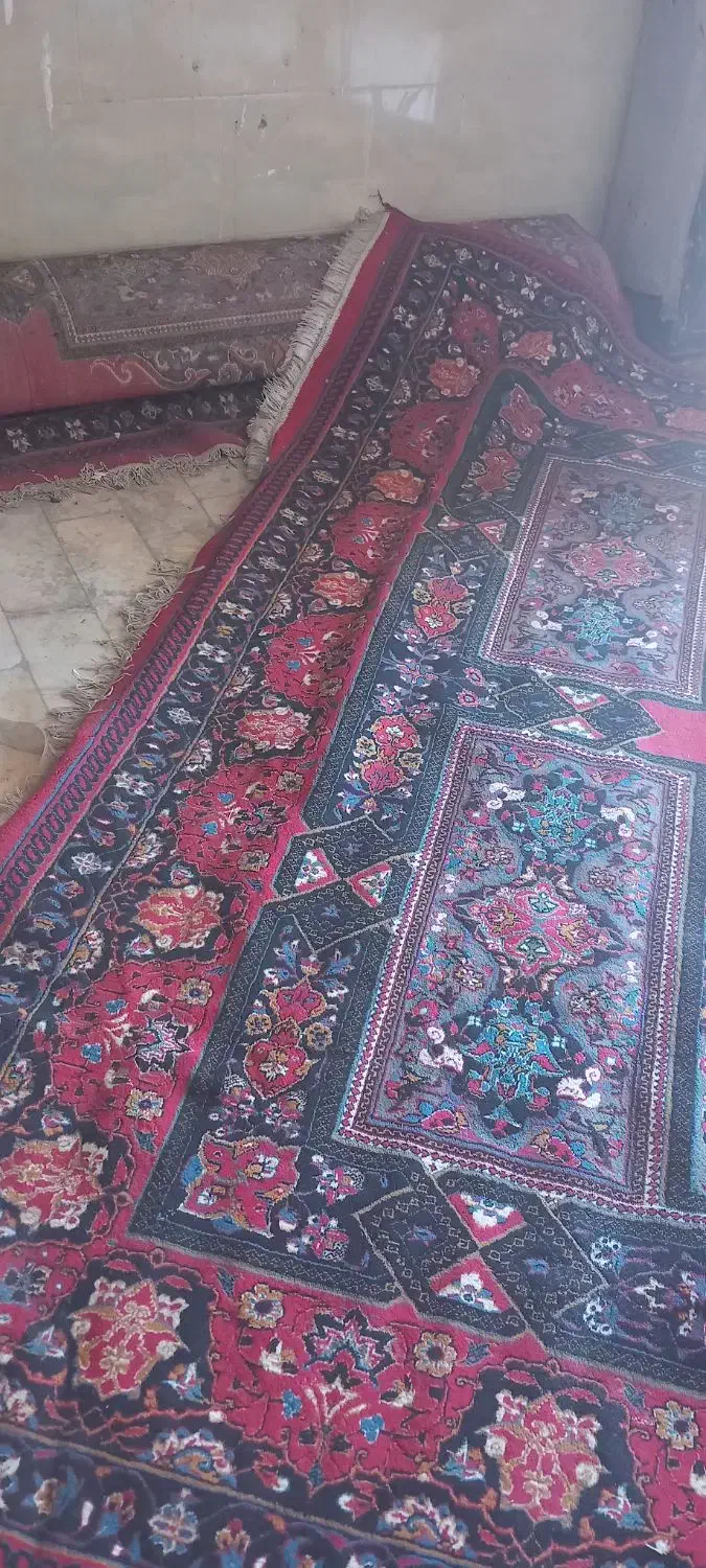 قالی ۳×۴|فرش|اردکان, |دیوار