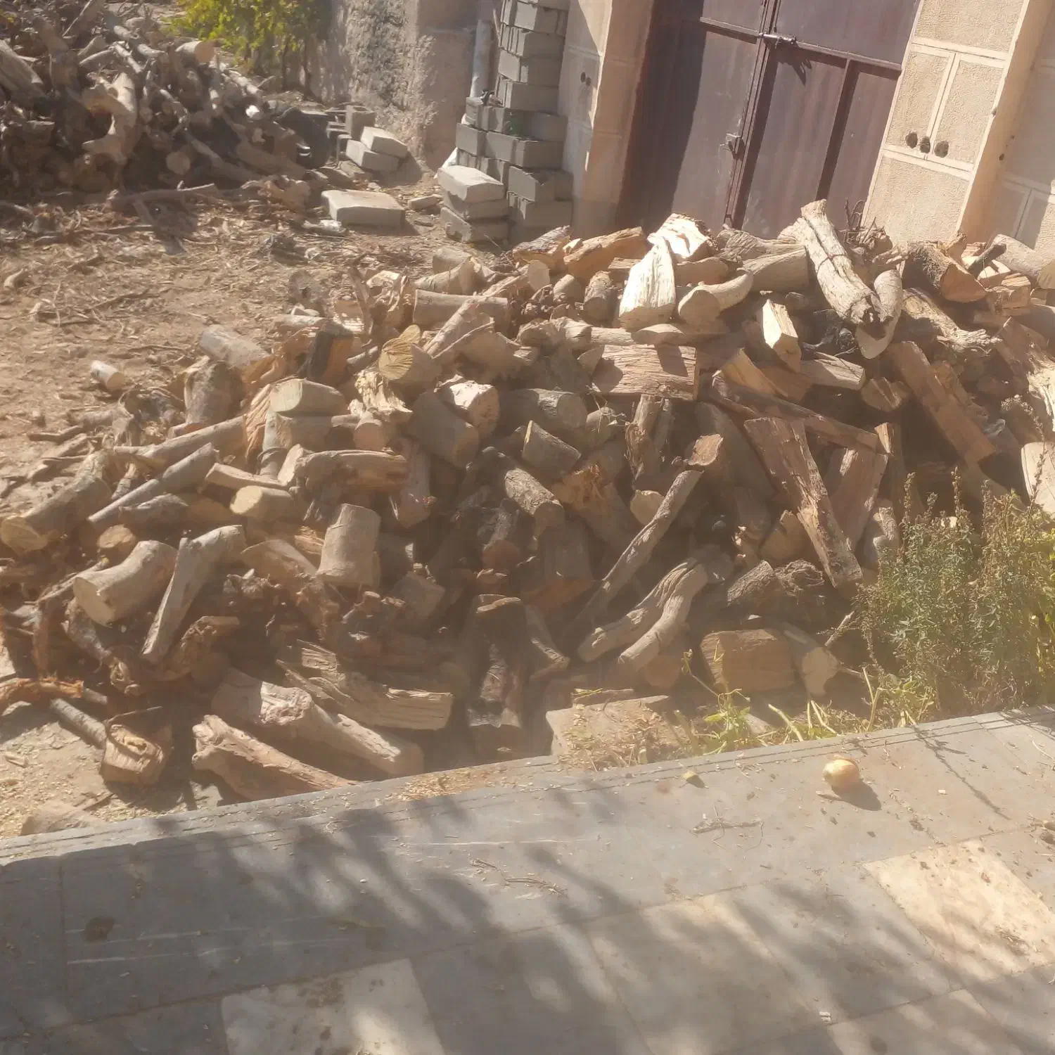 چوب خرد شده|خدمات باغبانی و درختکاری|شاهرود, |دیوار