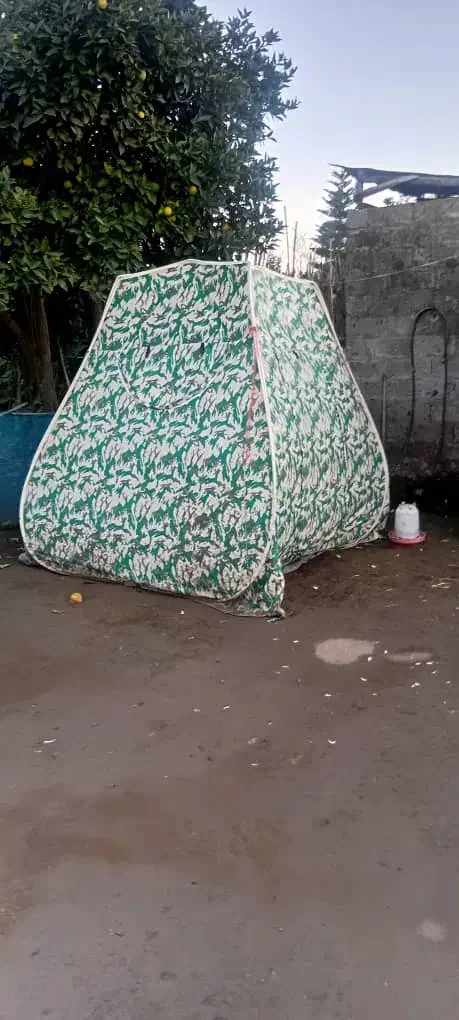 چادرمسافرتی|کوهنوردی و کمپینگ|رشت, پاستوریزه|دیوار