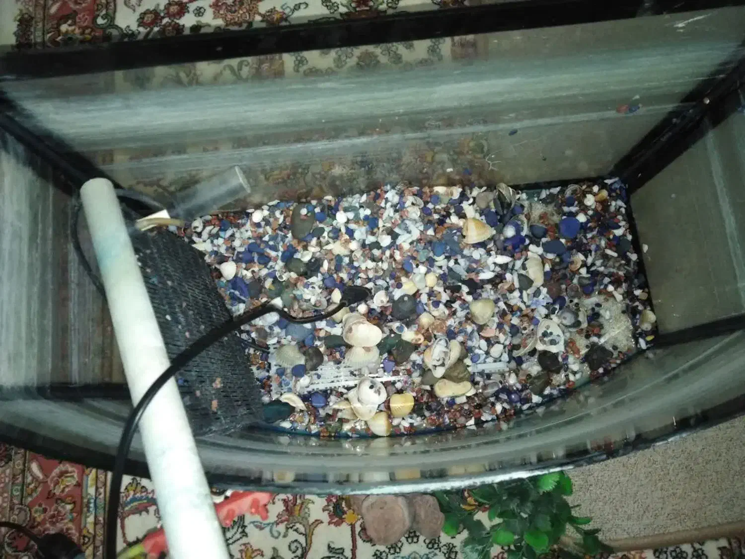 آکواریوم با تمام تجهیزات|ماهی|سهند, |دیوار