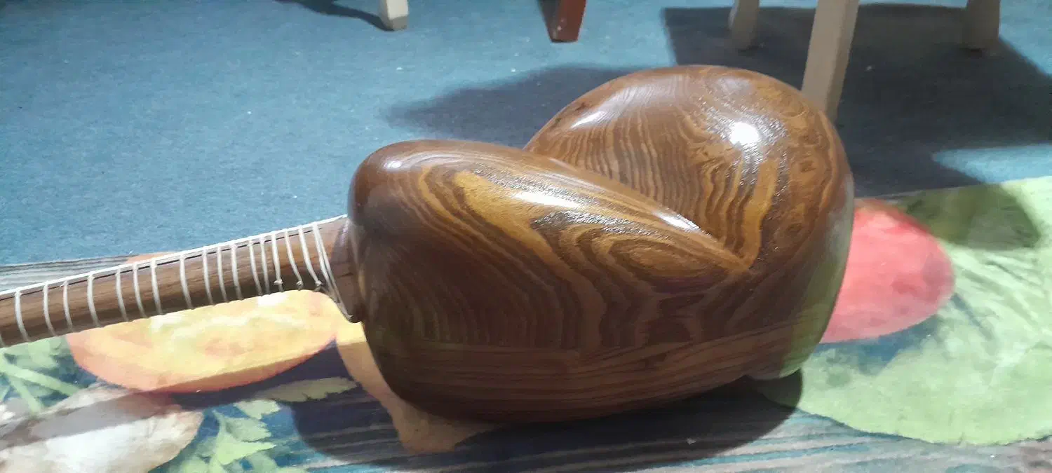 تارایرانی باصدای خوب|سازهای سنتی|تهران, فردوس|دیوار