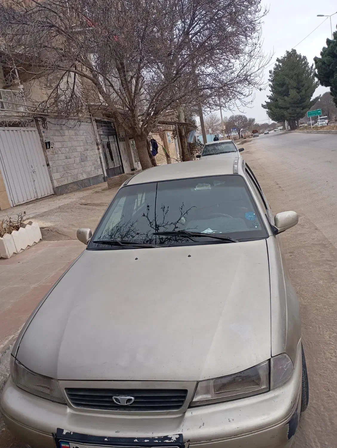 سیلو مدل 81|خودرو کلاسیک|نیشابور, خط کاشمر|دیوار