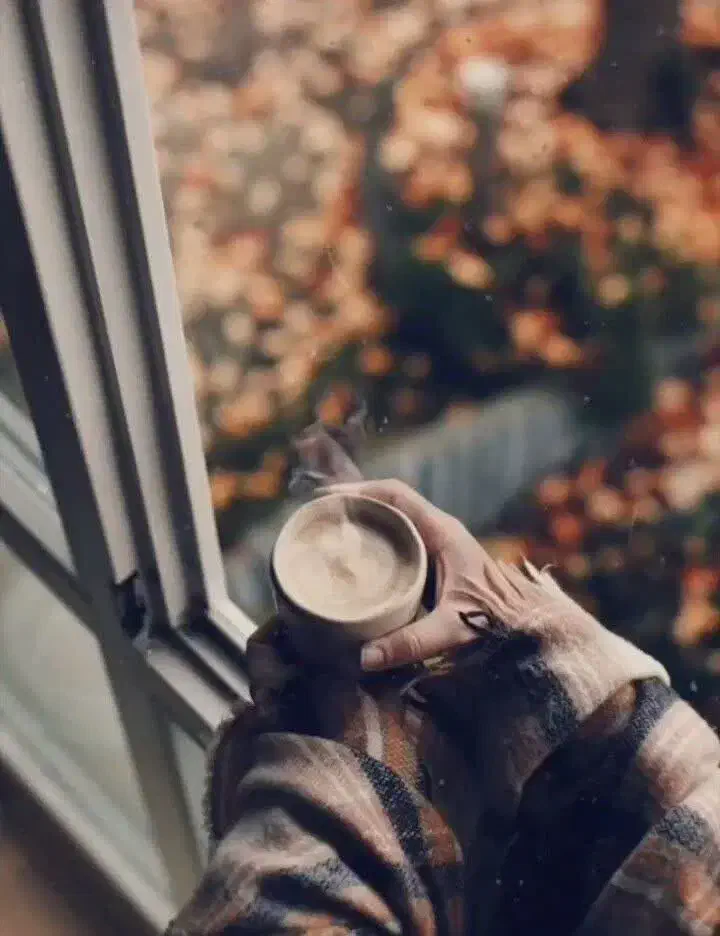 راننده مسئولیت‌پذیر، آماده جابه‌جایی ۲۴ساعته|خدمات حمل و نقل|مشهد, ادیب نیشابوری (شهرک غرب)|دیوار