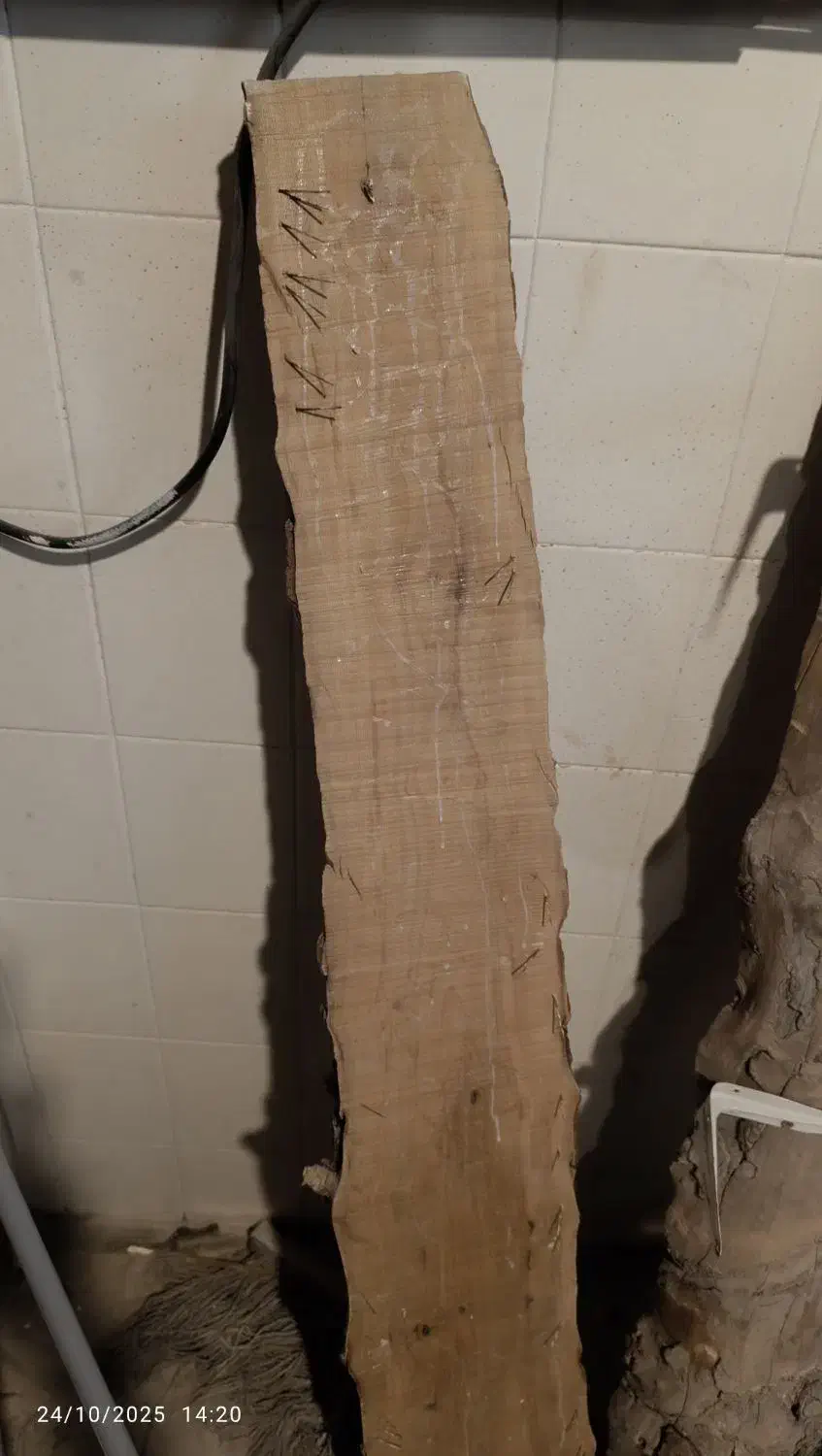 شلف چوب خام|کتابخانه، شلف، قفسه‌های دیواری|مشهد, هنرستان|دیوار