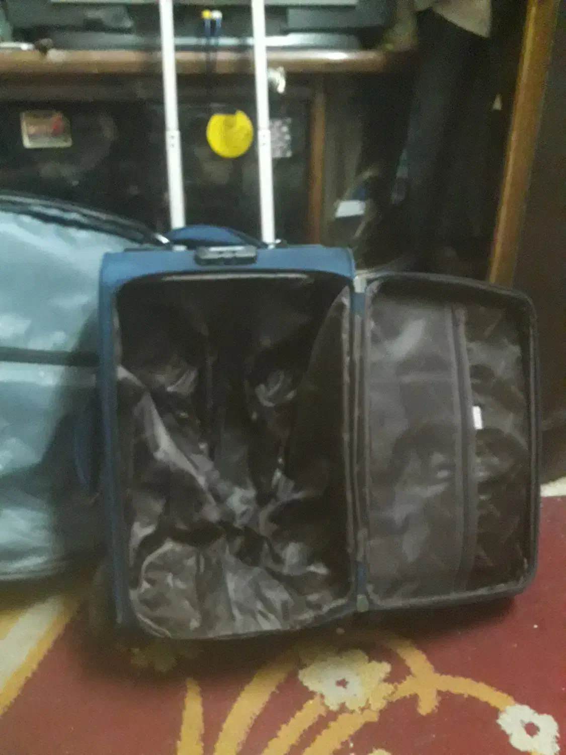 چمدان|کیف، کفش، کمربند|اهواز, بعثت|دیوار