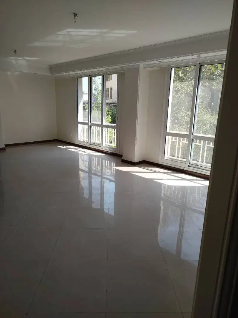 ۱۶۰ متر سه خواب ویو ابدی شیراز شمالی|فروش آپارتمان|تهران, ونک|دیوار