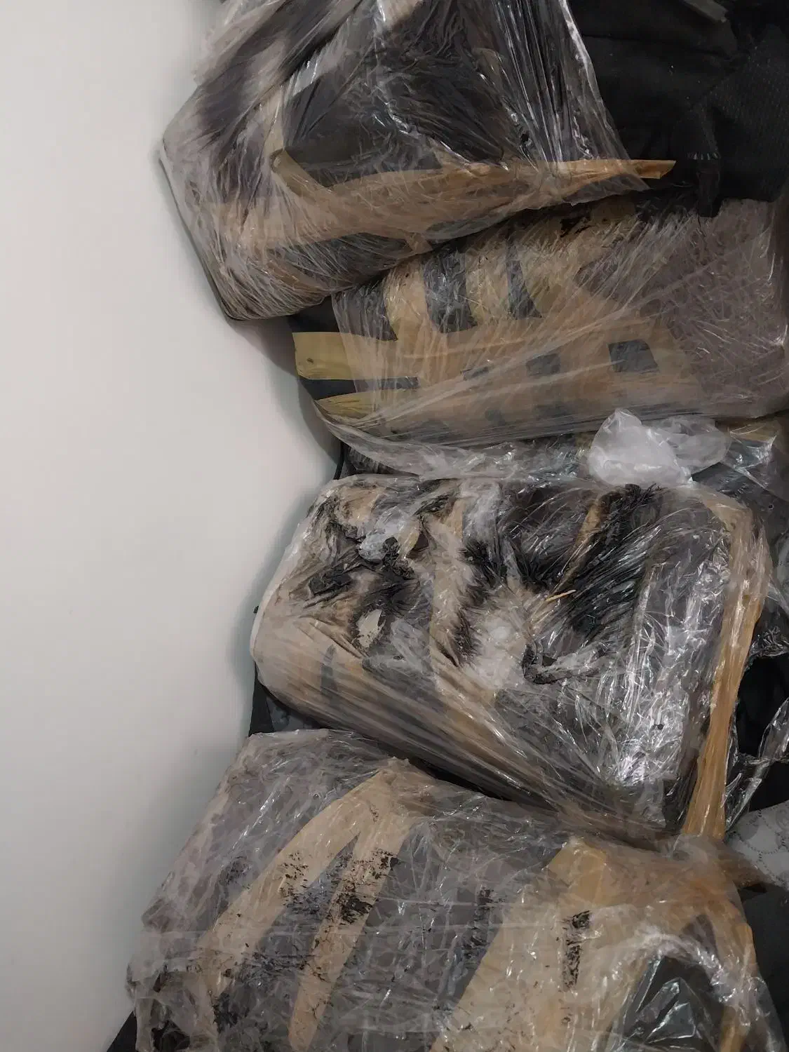 سرسیلند تیپ ۵ تعدادسرسیلند ال ۹۰ گیربکس ماکسیما|قطعات یدکی و لوازم جانبی|تهران, مسعودیه|دیوار