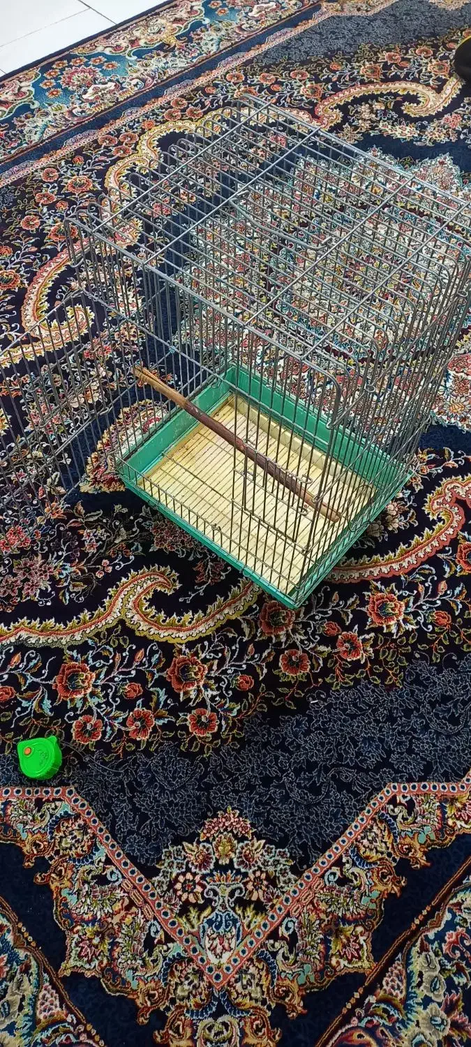 قفس بزرگ زخیم طوطی مینا برزیلی انواع پرندگان|لوازم جانبی حیوانات|هشتگرد, شهرک بوستان|دیوار