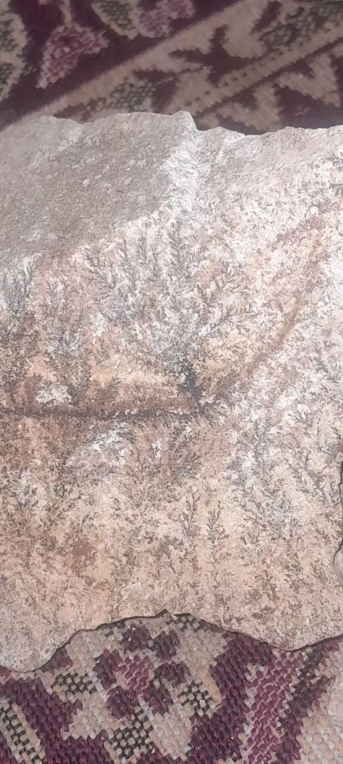 سنگ شجر طبیعی فروش کیلوی|کلکسیون اشیاء عتیقه|رزن, |دیوار