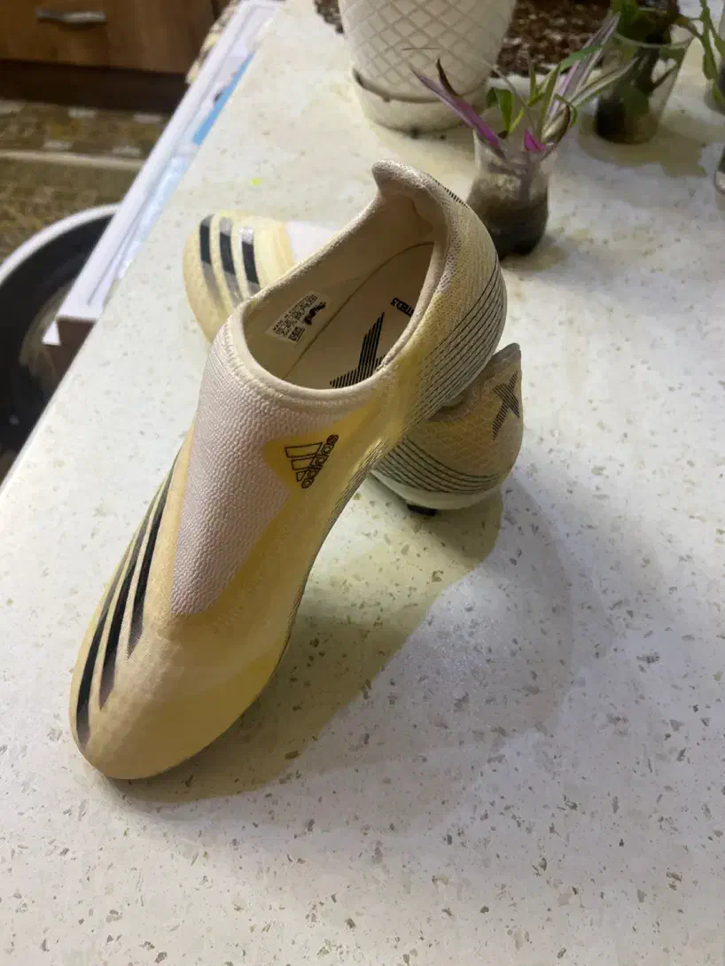 استوک ادیداس X|تجهیزات ورزشی|بندر انزلی, کلیور|دیوار