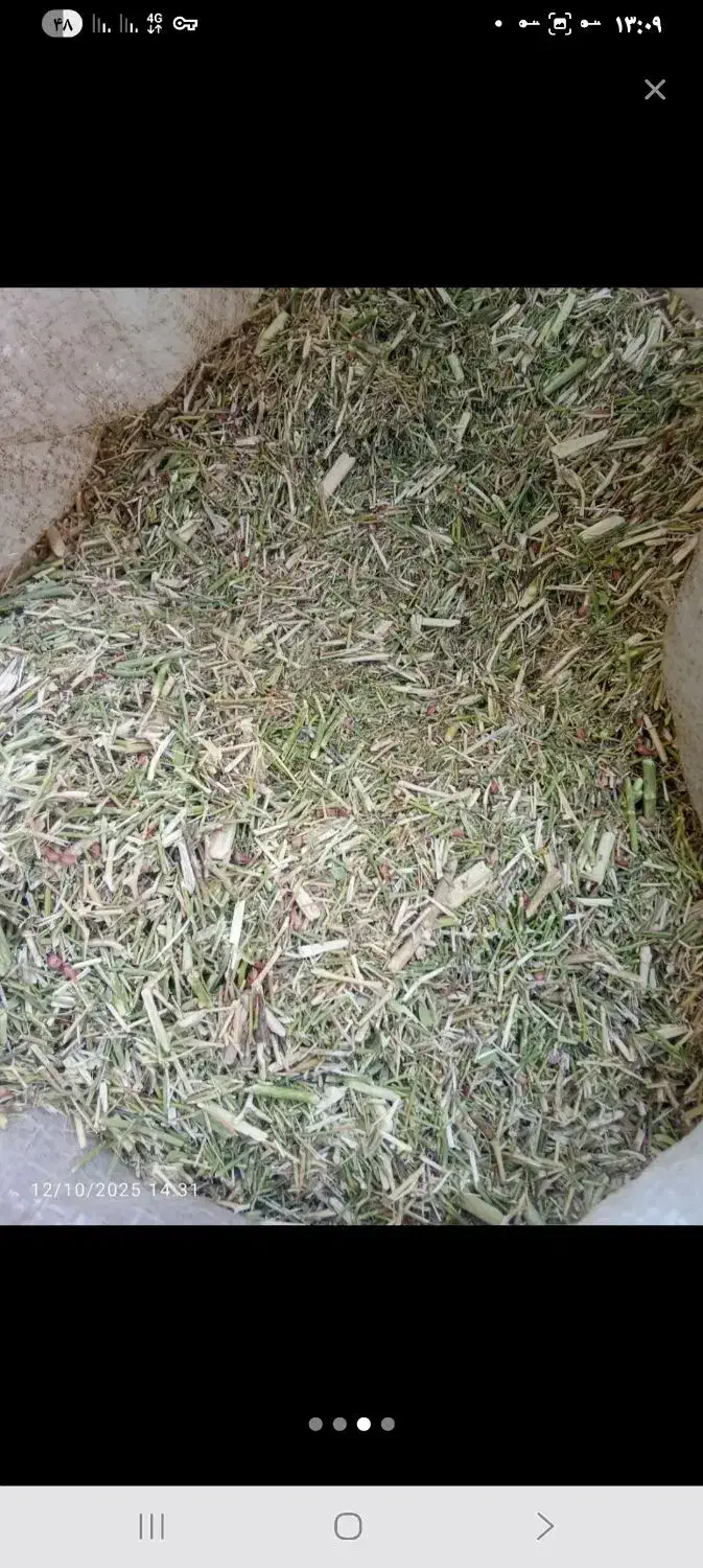 خار دانه دار نرم|لوازم جانبی حیوانات|تربت جام, جامرود|دیوار