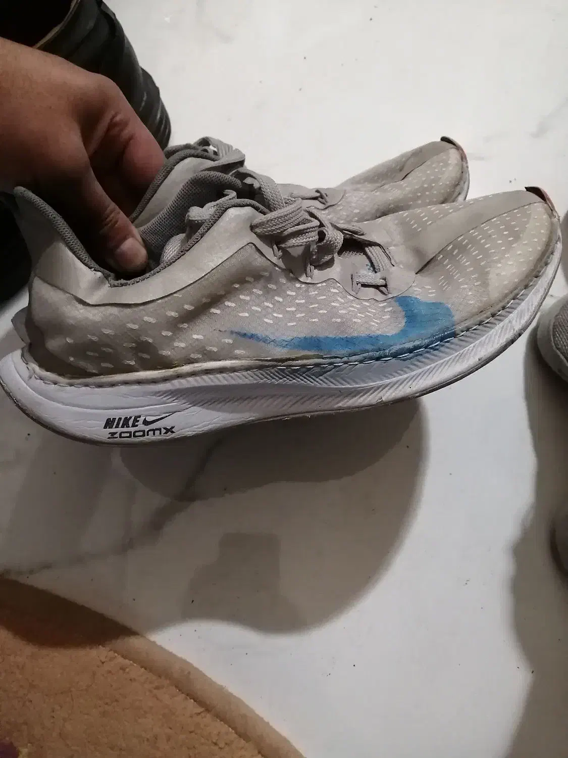 کفش در حدنو|کیف، کفش، کمربند|گرگان, |دیوار