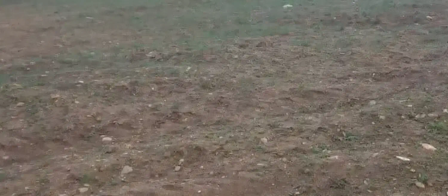 زمین مسکونی|فروش زمین و ملک کلنگی|داران, |دیوار