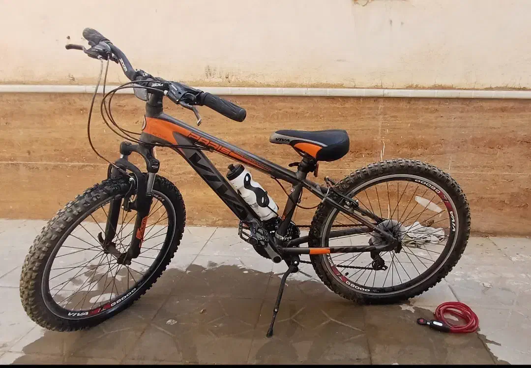 دوچرخه کوهستانی ویوا|دوچرخه، اسکیت، اسکوتر|بجنورد, |دیوار