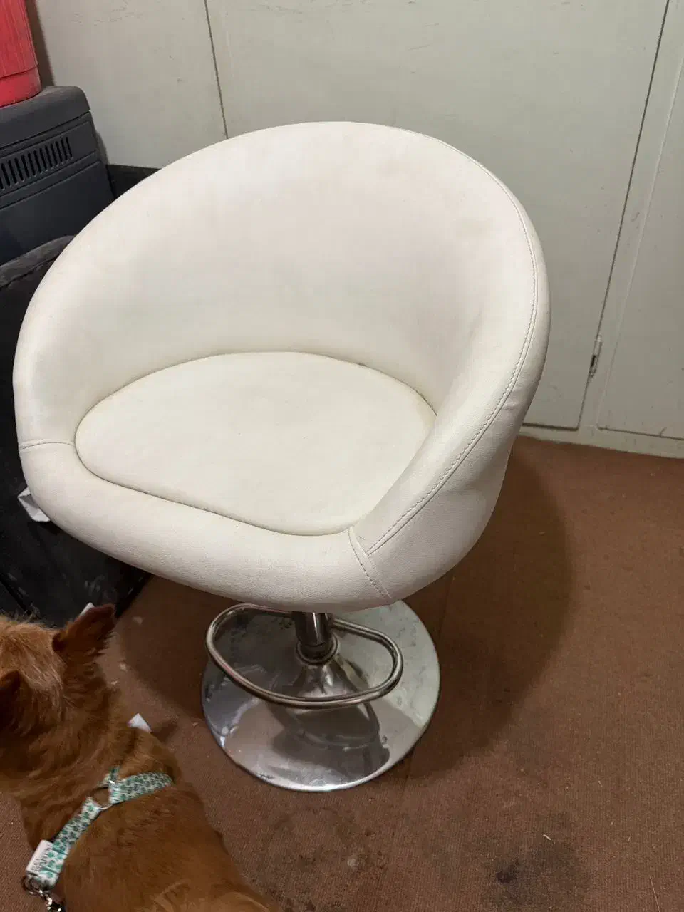 تخت مژه|آرایشگاه و سالن‌های زیبایی|اصفهان, بهارستان|دیوار