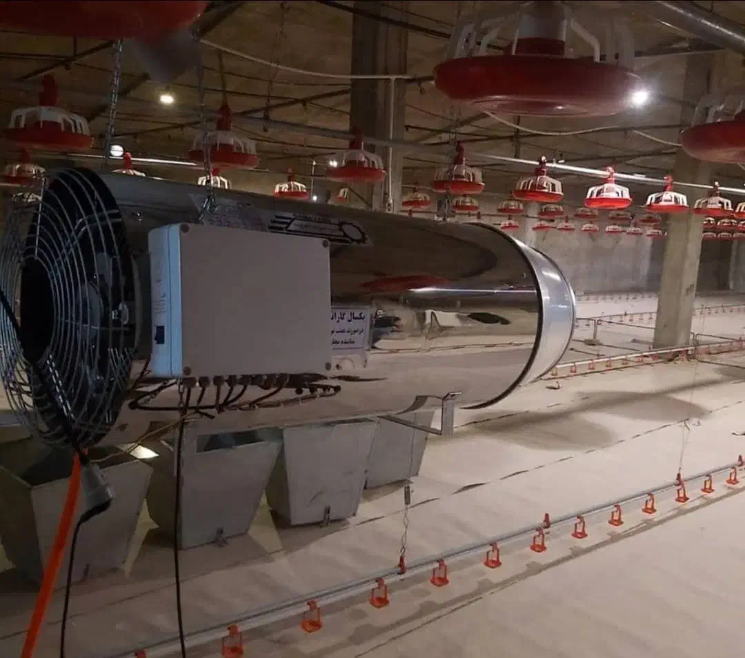 کارگر با سابقه کاری مرغداری اتومات|استخدام صنعتی، فنی، مهندسی|ایواوغلی, |دیوار