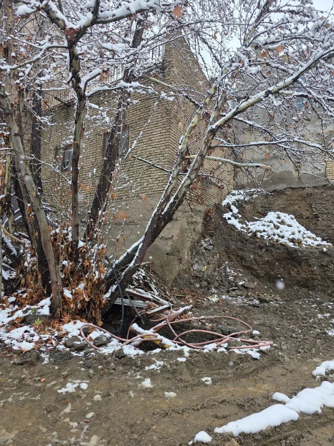 باغ|فروش زمین و ملک کلنگی|شاندیز, |دیوار