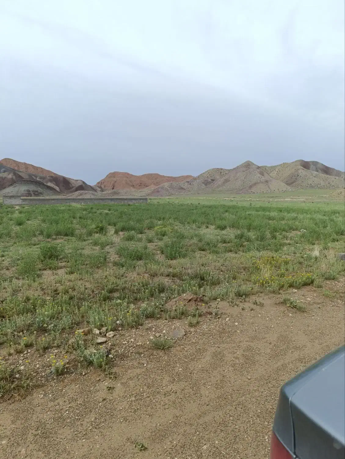 فروش زمین 500متر در بیلوردی زمین شهریار شه|فروش زمین و ملک کلنگی|خواجه, |دیوار