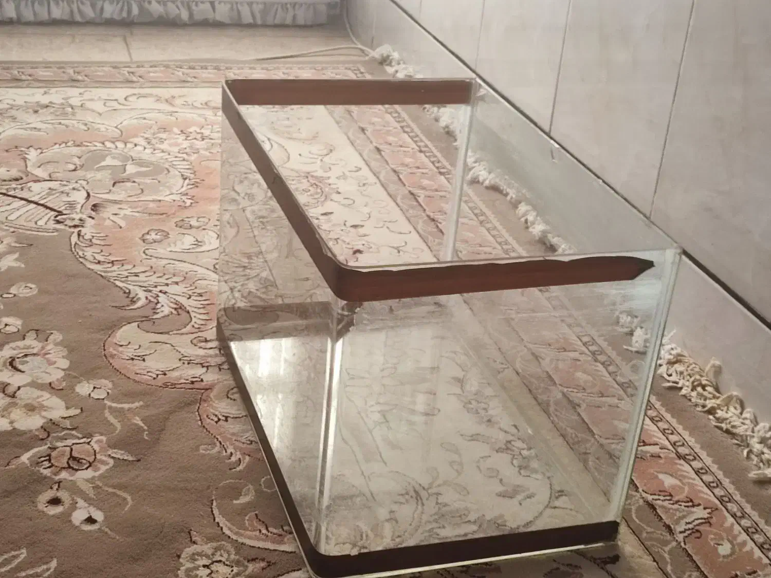 اکواریوم شیشه ایی ماهی|ماهی|کاشان, کارگر|دیوار