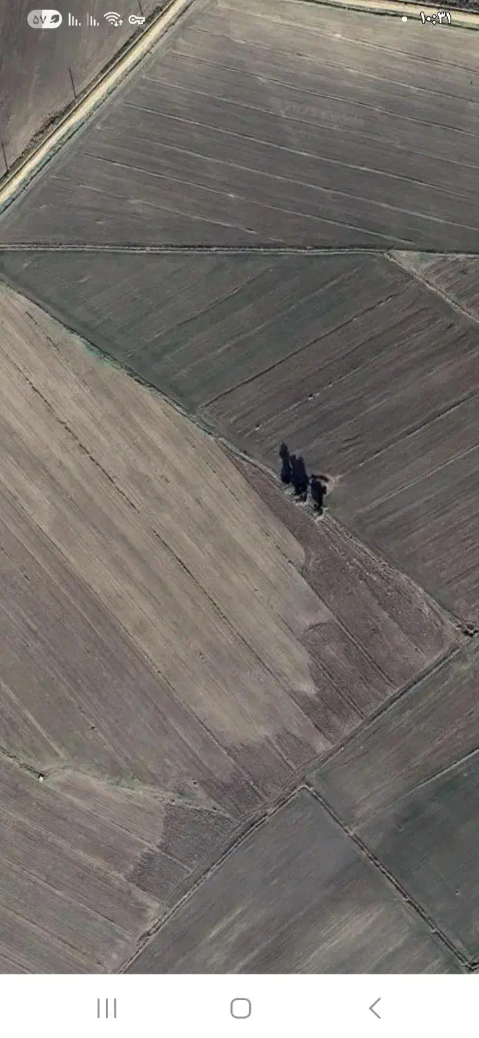 ۲ هکتار زمین کشاورزی آبی|فروش دفتر صنعتی، کشاورزی، تجاری|سرپل ذهاب, |دیوار