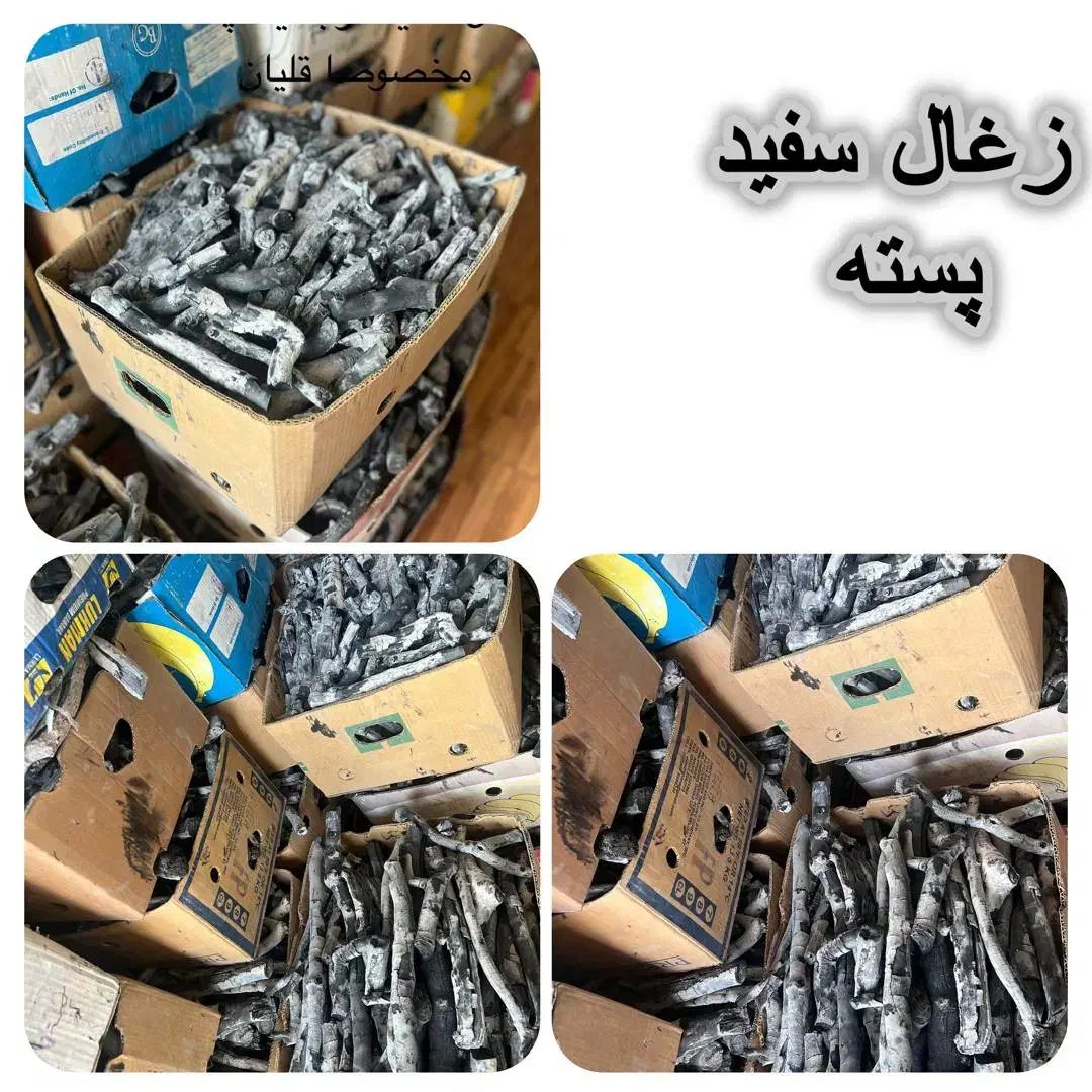 پخش و فروش زغال پسته|عمده‌فروشی|رشت, پیرکلاچای|دیوار