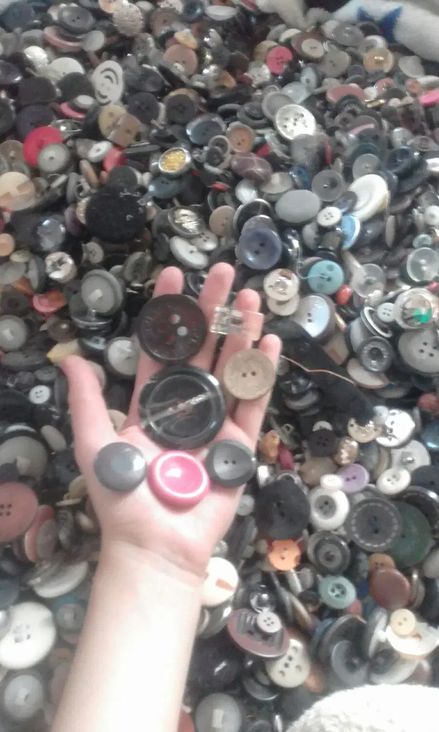 دکمه های رنگارنگ ویک رنگ|لوازم خیاطی و بافتنی|زرندیه, |دیوار