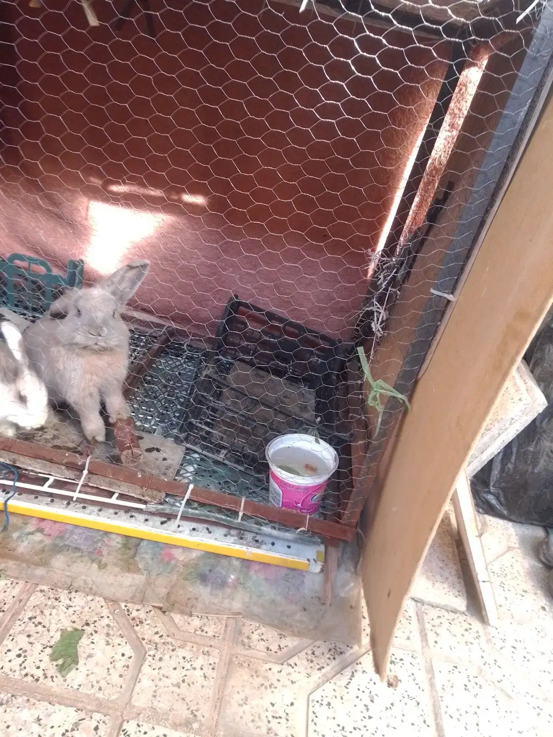 قفس بزرگ آهنی مخصوص خرگوش مرغ مرغابی کبوتر|لوازم جانبی حیوانات|طرقبه, |دیوار