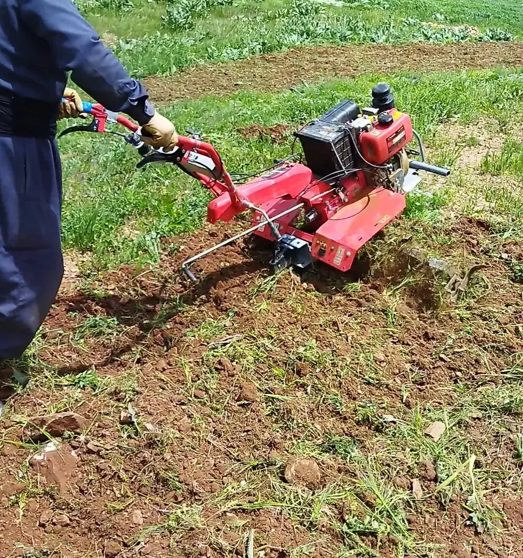 دستگاه کولتیواتیر کاما 10اسب اصل|ماشینآلات صنعتی|مهاباد (آذربایجان غربی), |دیوار