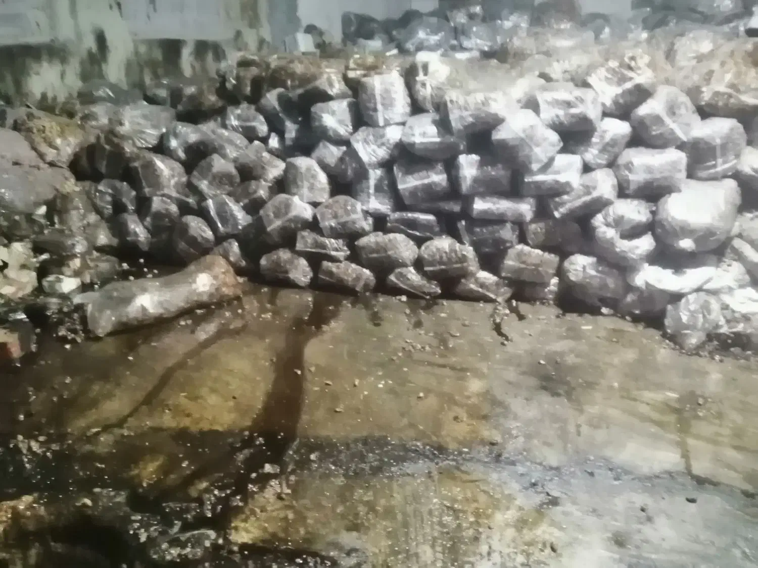 ضایعات خرما از بهترین نخلستان های استان بوشهر|خدمات باغبانی و درختکاری|بوشهر, |دیوار