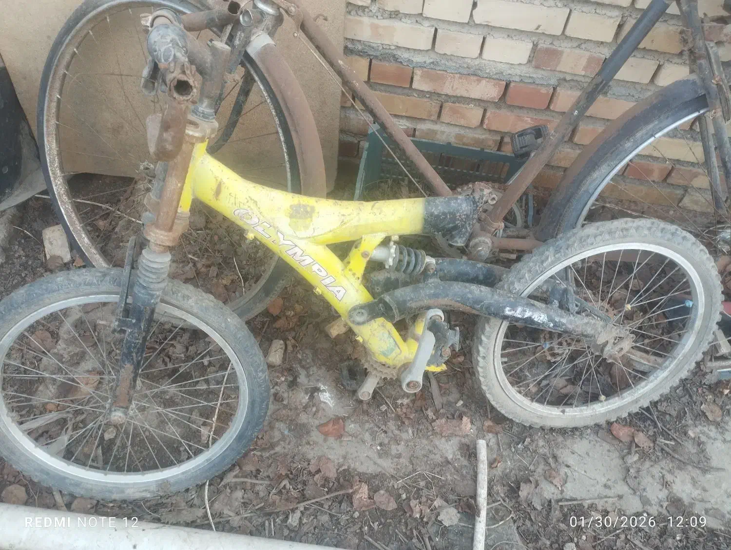 دوچرخه 24 و 26 و 28|دوچرخه، اسکیت، اسکوتر|گنبد کاووس, |دیوار