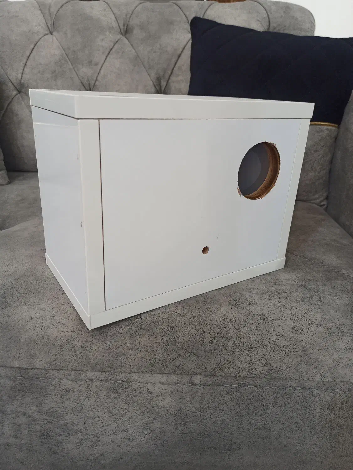 لانه طوطی برزیلی ، دانخوری چوبی طوطی|پرنده|اسلام‌‌آباد غرب, |دیوار