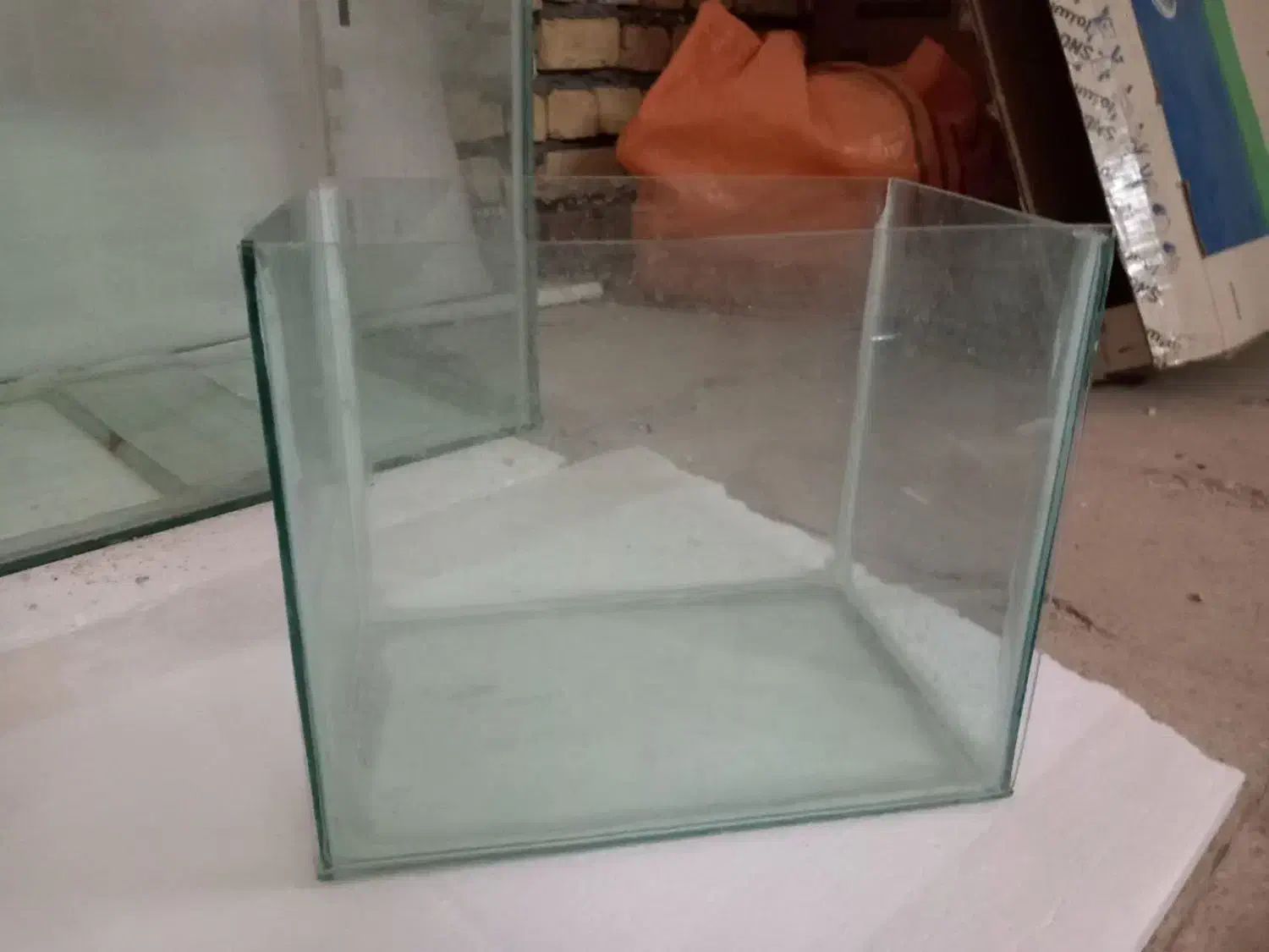 آکواریوم|ماهی|آران و بیدگل, |دیوار