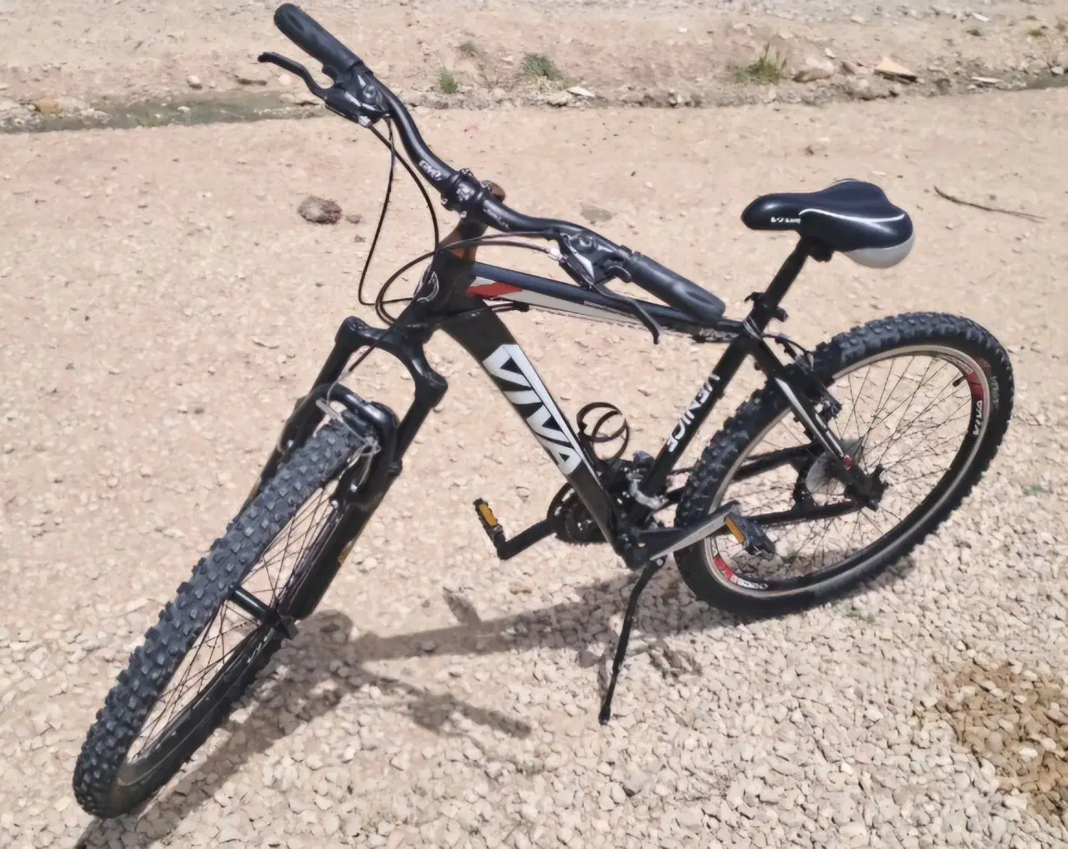 دوچرخه ویوا حرفهای|دوچرخه، اسکیت، اسکوتر|ایوان, |دیوار