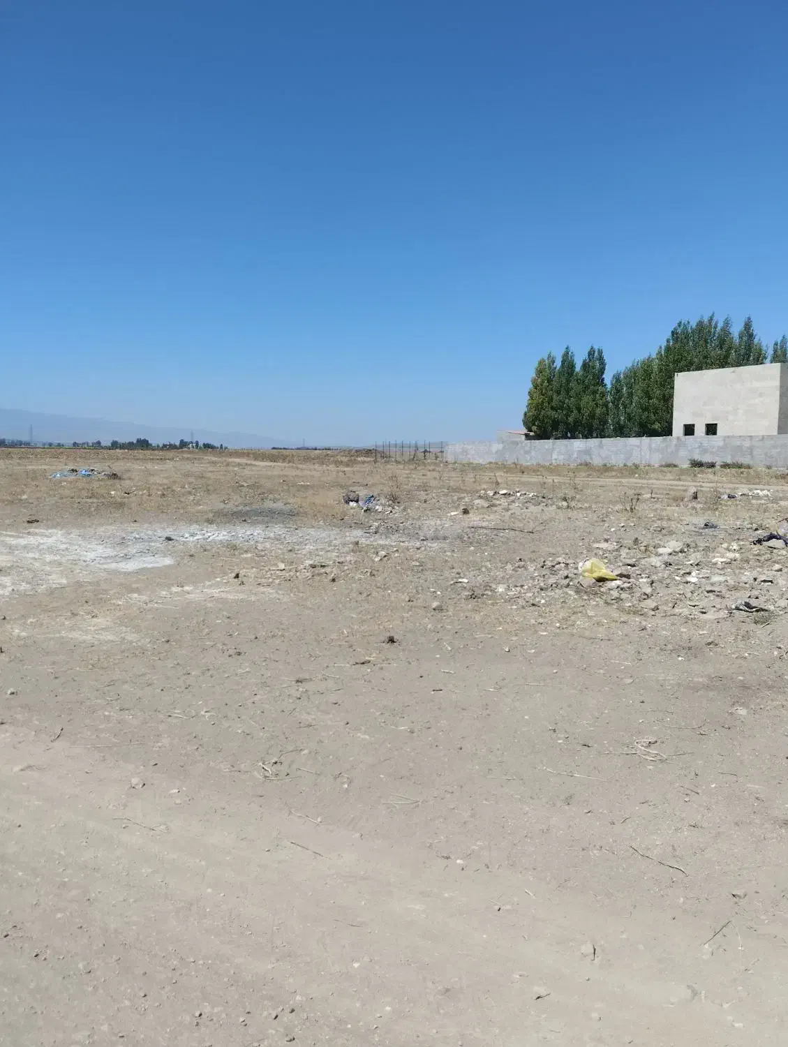 زمین باغ|فروش زمین و ملک کلنگی|نمین, |دیوار