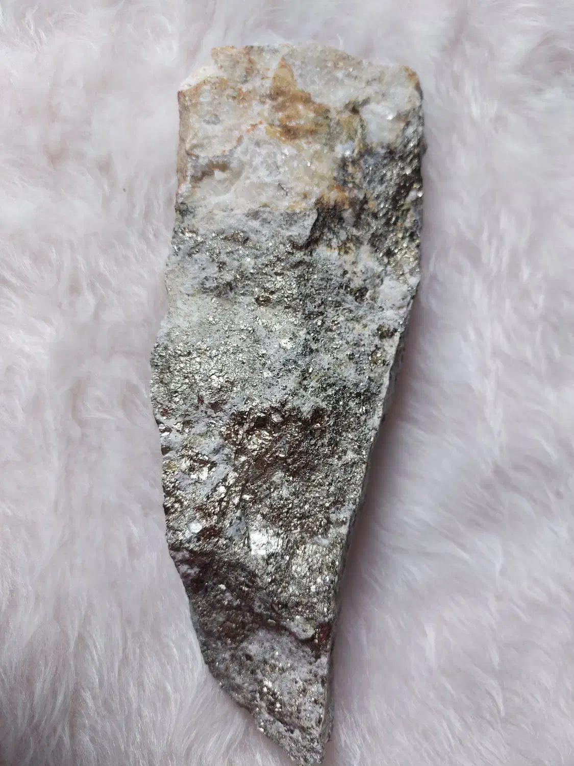 پیریت کلکسیونی|کلکسیون اشیاء عتیقه|پرند, فاز ۱|دیوار