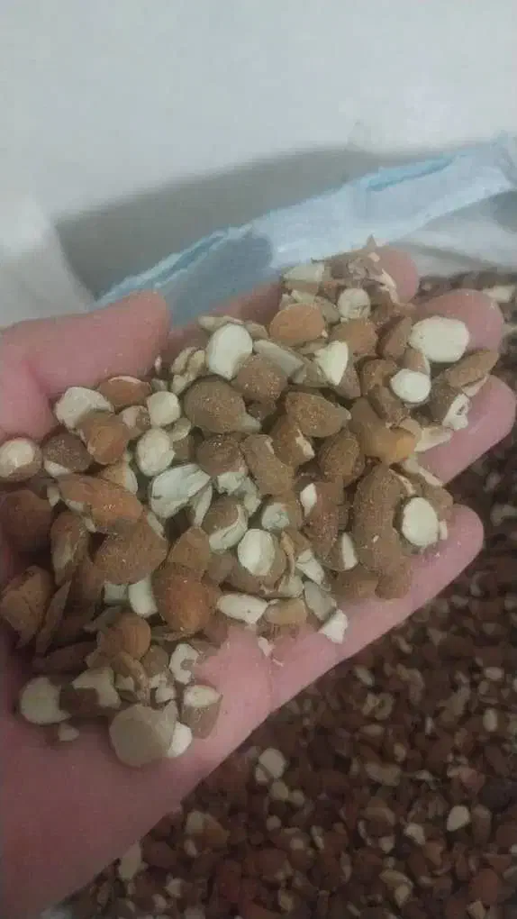 آلبالو خشک برگه زردآلوکشمش مویز چای سبز تناژ دارم|عمده‌فروشی|بیرجند, |دیوار