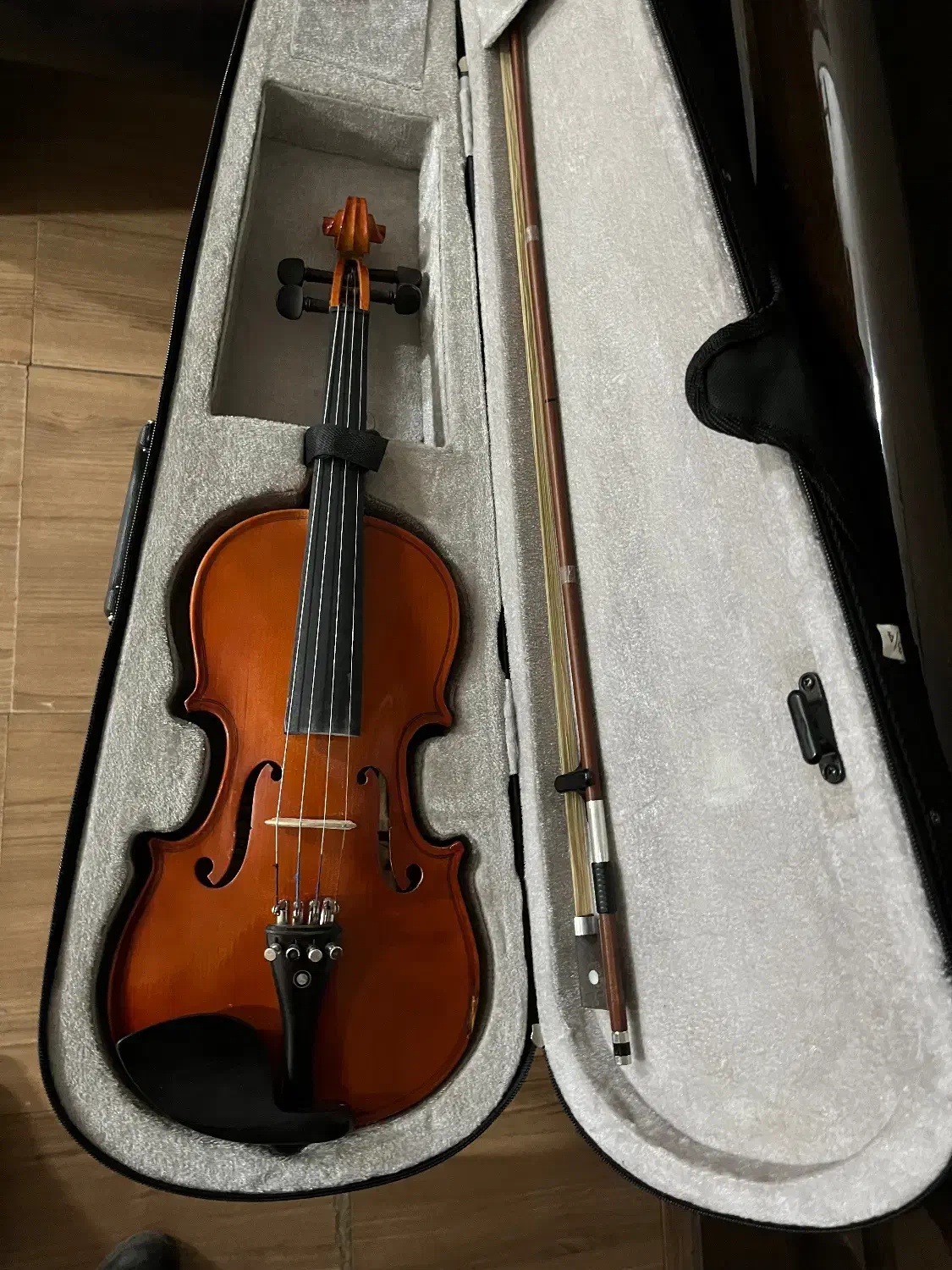 ویولن ۳/۴|ویولن|اصفهان, جلفا|دیوار